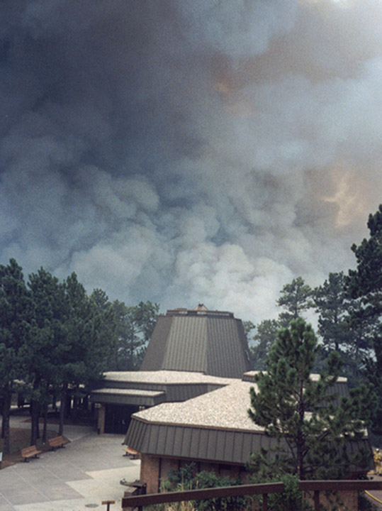 Natural Heritage Devastated by Fire in Jasper National Park